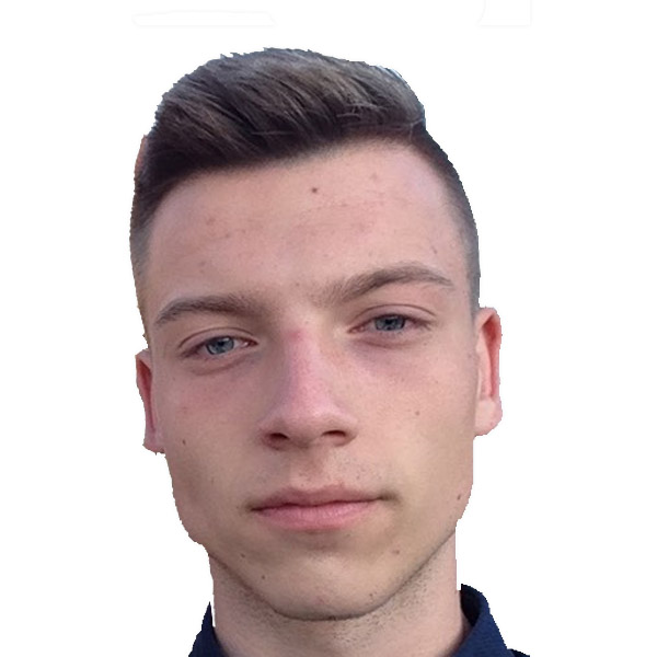 Alem J